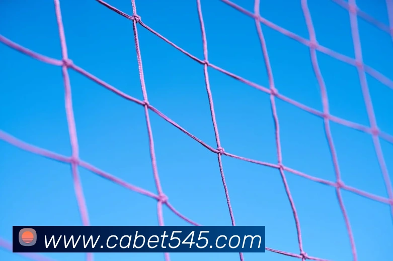 ca亚洲城APP 高清赛事图